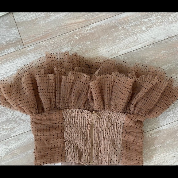 NWT Zara Nude Polka Dot Tulle Ruffle Top Size XS - Picture 11 of 11